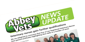 abbey news update