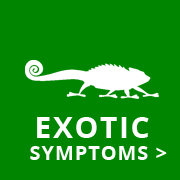 exotic symptoms