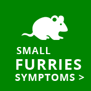 sick pet helper small furries symptoms