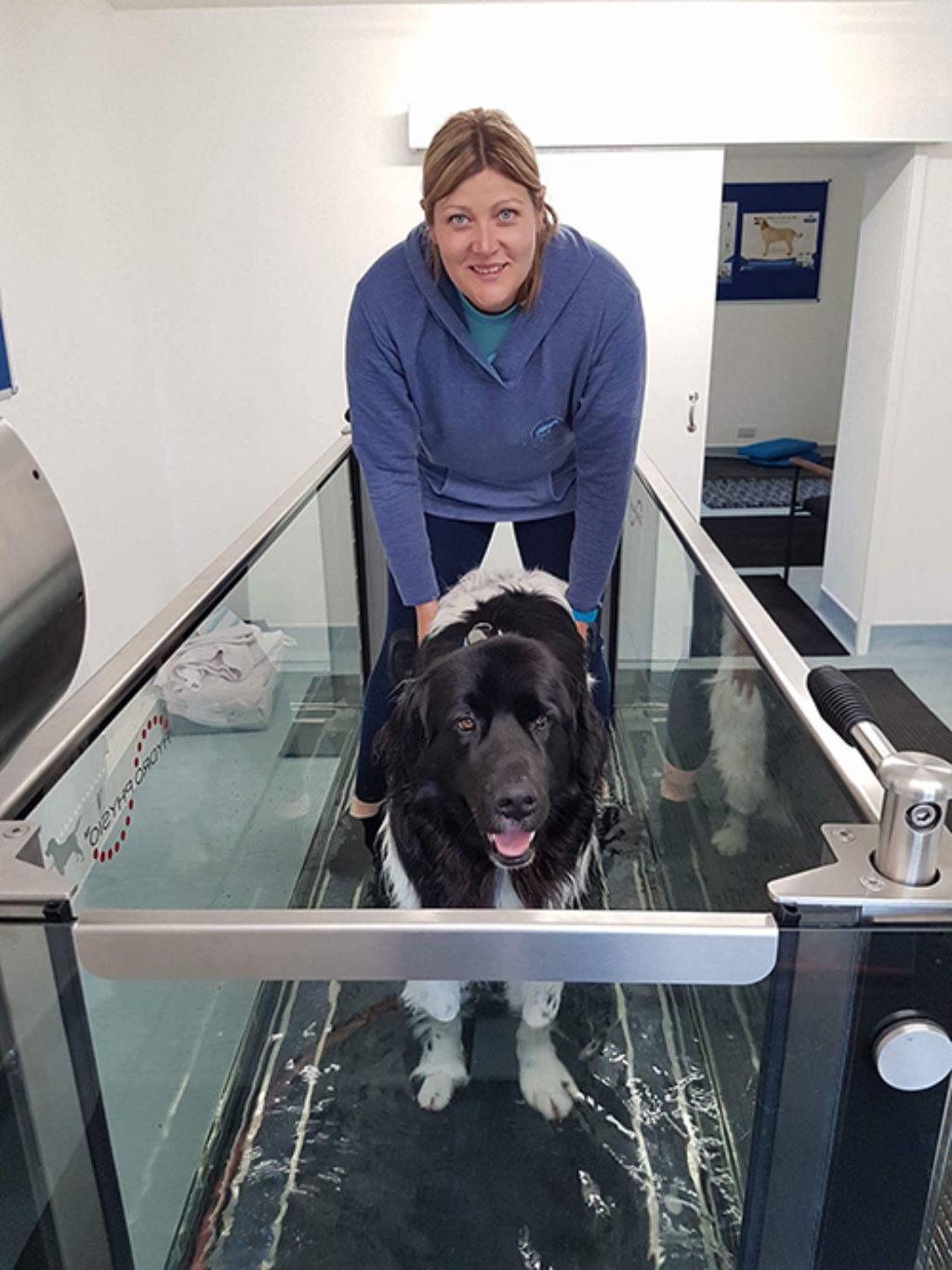 Pet and Canine Hydrotherapy Barnsley Abbey Vets