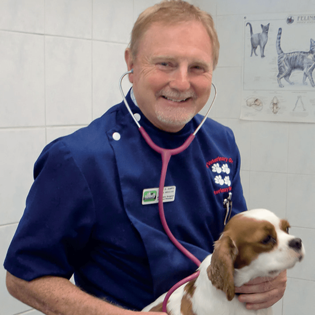 Parvo vaccination for puppy