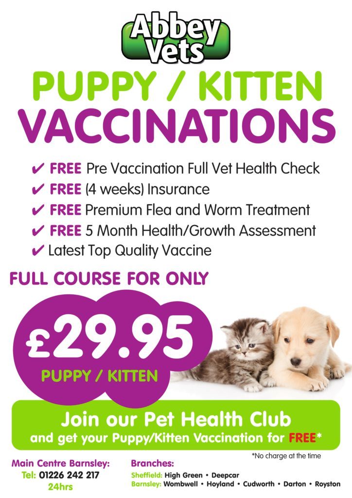 pet vaccination poster
