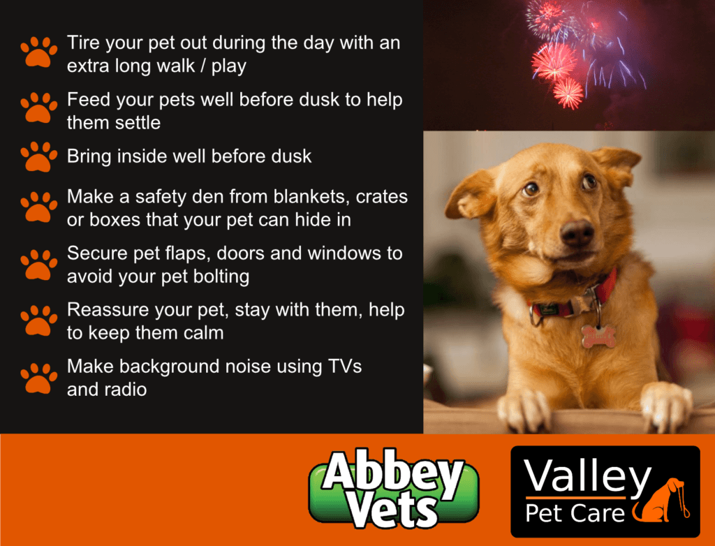 Abbey News Blog Abbey Vets