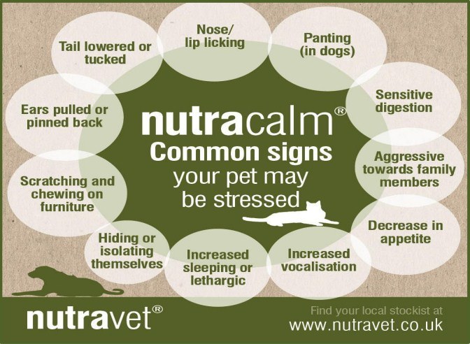 nutracalm common signs