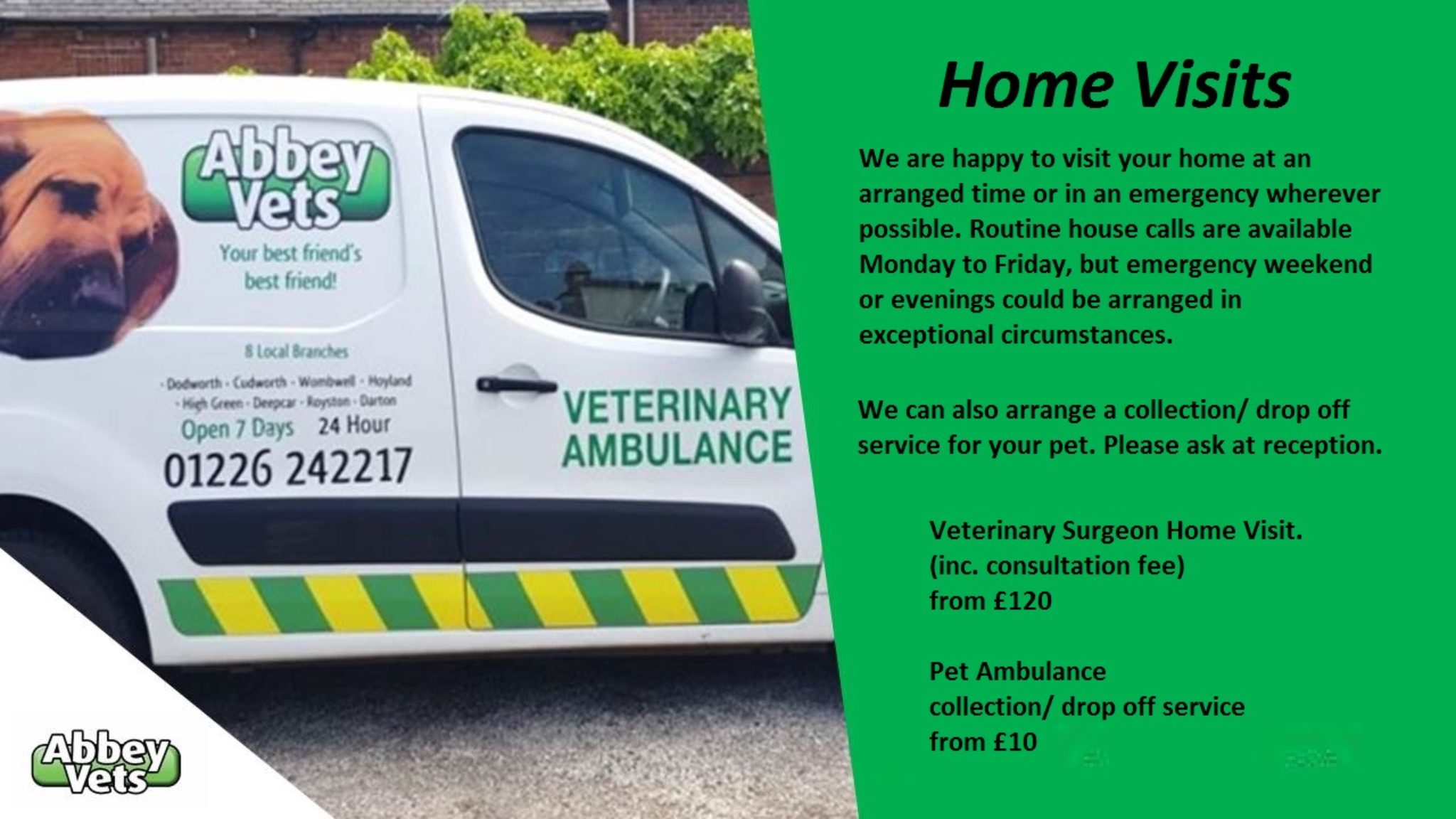 do vets visit home