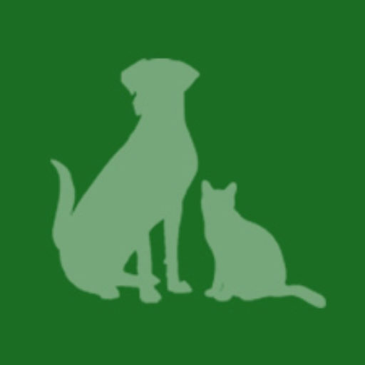 cat and dog breed