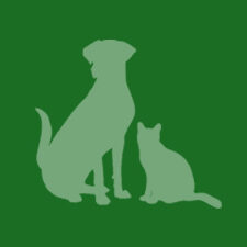 dog and cat avatar